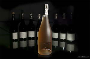  —  bottle