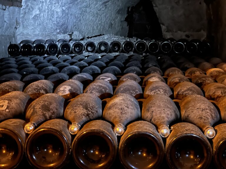 Gamle champagneflasker dækket af kælderstøv